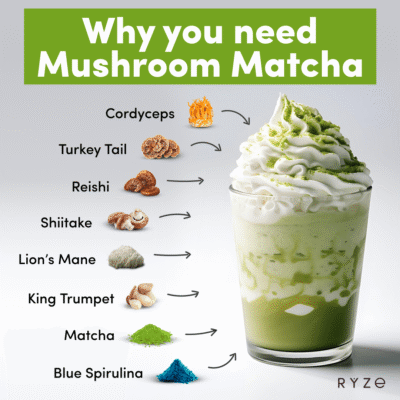 RYZE Mushroom Matcha – with 6 Organic Adaptogenic Mushrooms Grown In USA and Ceremonial-Grade Japanese Matcha - Image 3