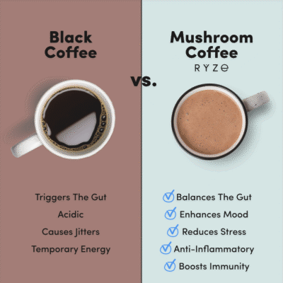 RYZE Ultimate Starter Kit (2 Mushroom Coffees + 1 Probiotic Creamer) - Image 7